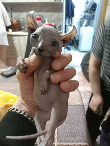 Сергей