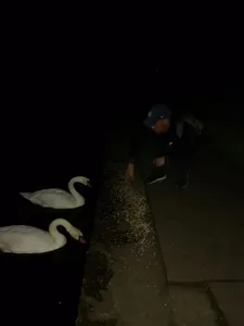 стасон